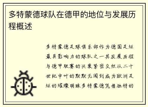 多特蒙德球队在德甲的地位与发展历程概述