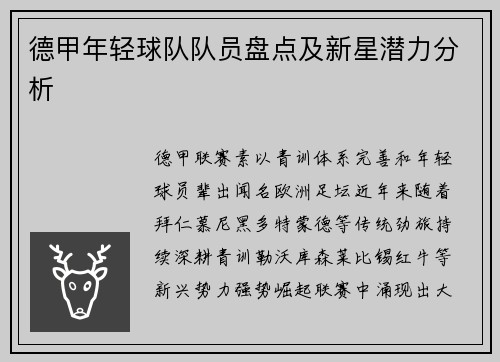 德甲年轻球队队员盘点及新星潜力分析