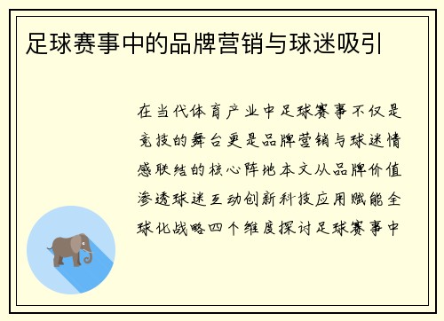 足球赛事中的品牌营销与球迷吸引